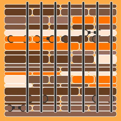 Incarceracism #95
