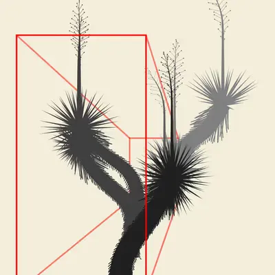 Early Marfa Yucca