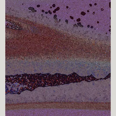 Texture Part II #97