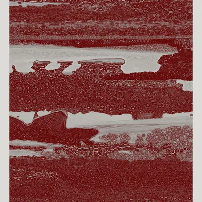 Texture Part II #39