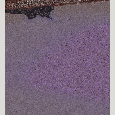 Texture Part II #66