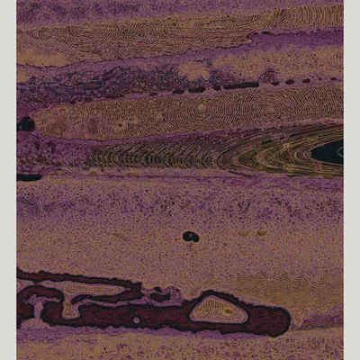 Texture Part II #33