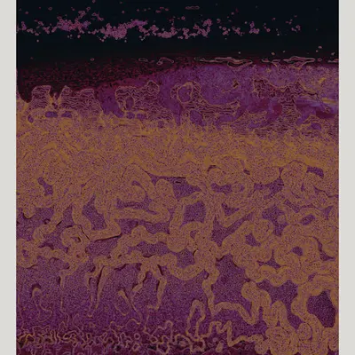 Texture Part II #48