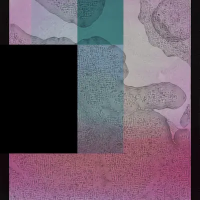 TILE #29