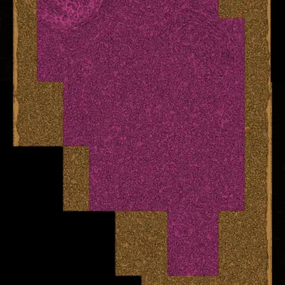 TILE #19