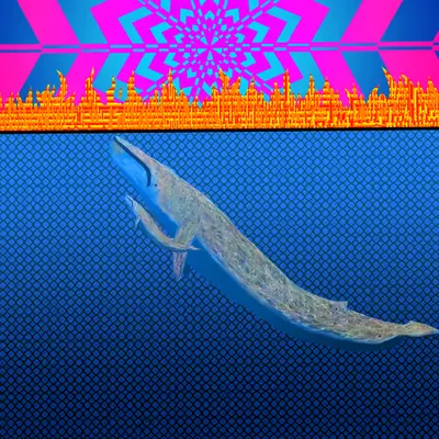 Blue Whale Dilemma