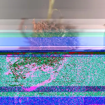 Blorgg Honklorph Malfonxia h[2]