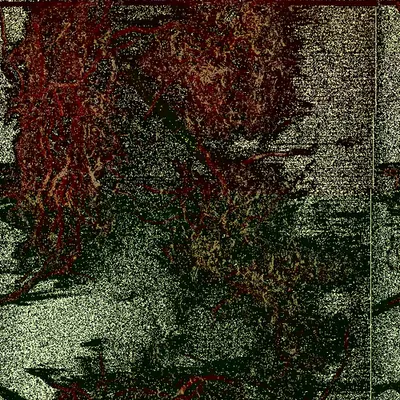 Blorgg Honklorph Malfonxia b[3]