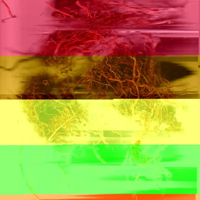 Blorgg Honklorph Malfonxia g[1]