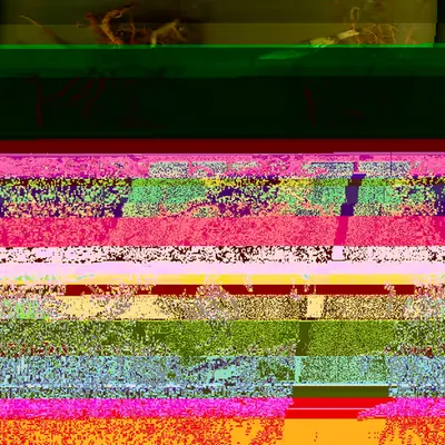 Blorgg Honklorph Malfonxia l[5]