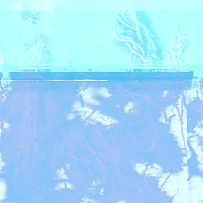 Blorgg Honklorph Malfonxia o[2]