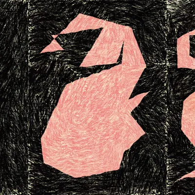 Bestiaire: Flamant Rose
