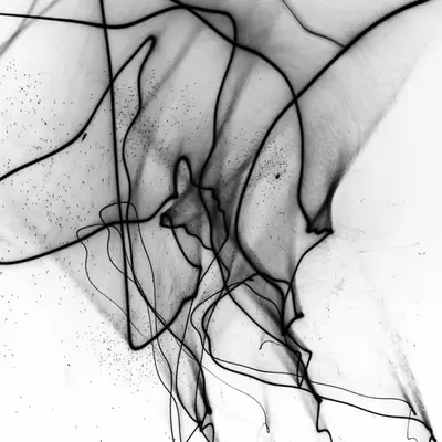 Intrecci - 172E09508