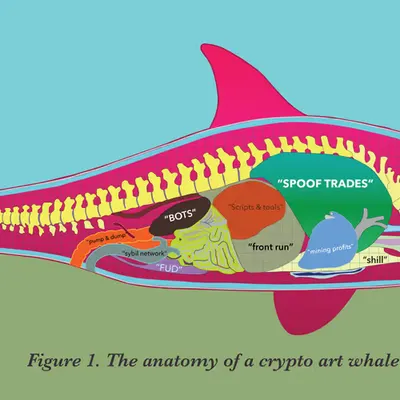Anatomy of a crypto art whale