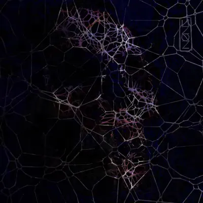 The Net