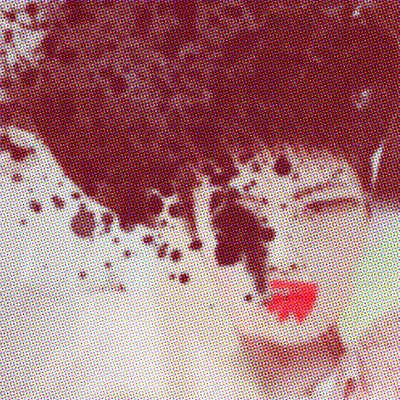 GEISHA GLIMPSE