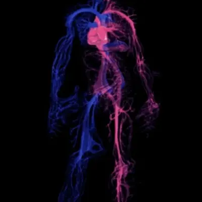 The Dance