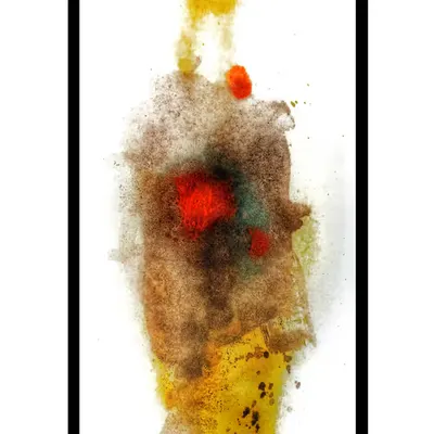 Informal anthropomorphous study
