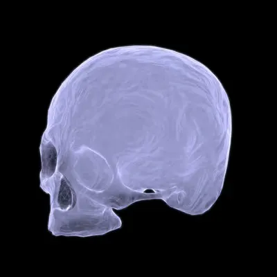 Conception and Death of the Soul