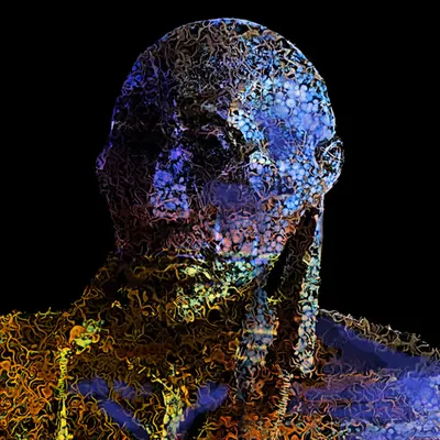 Cryptochromicon Man