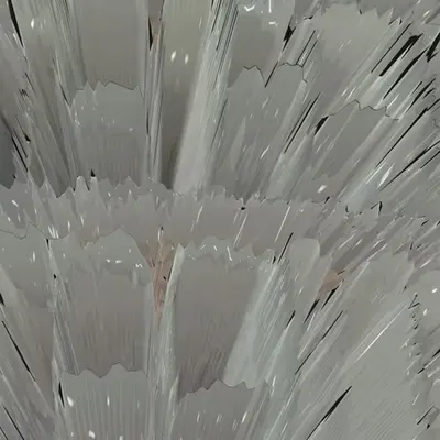Feathers I/XIV