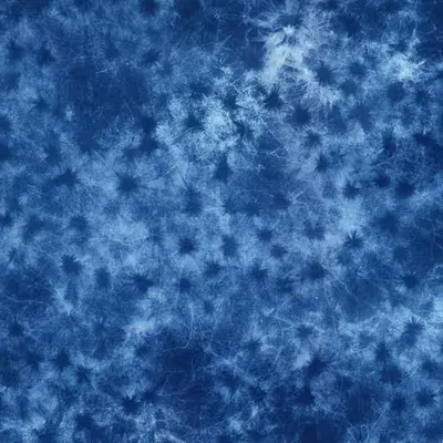 Neuro Bomb Cyanotype