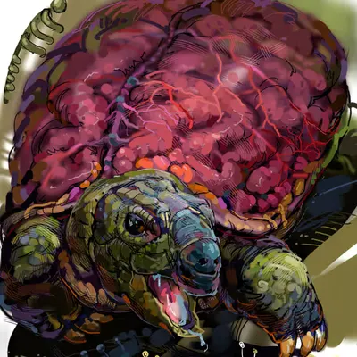 Literally the Wisest Turtle