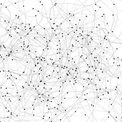 The Constellations