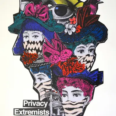 Privacy Extremists