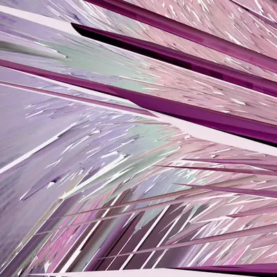 Feathers IV/XIV