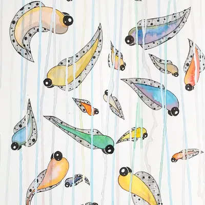 Aquabizarre #11 - The FishBow 🌈