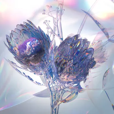 Glassbloom