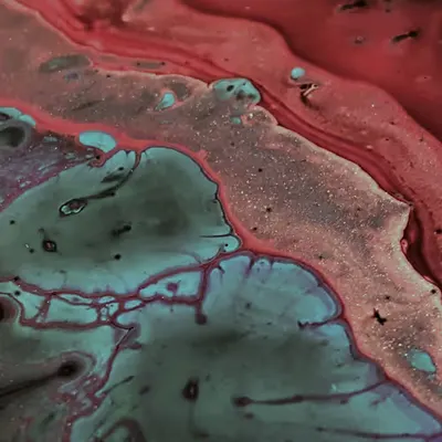 Fluidity Observations #1
