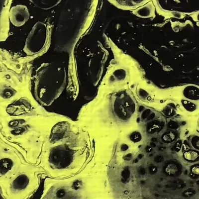 Fluidity Observations #2