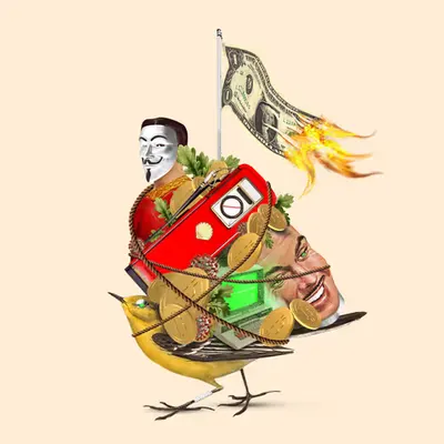 Crypto Bird
