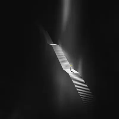 Journey to the top