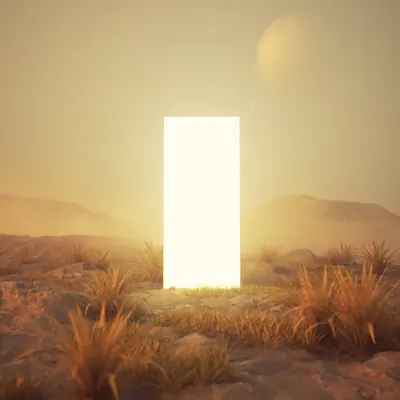 The Outer World