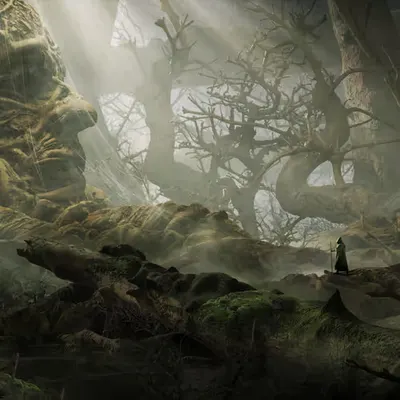 Roots 1