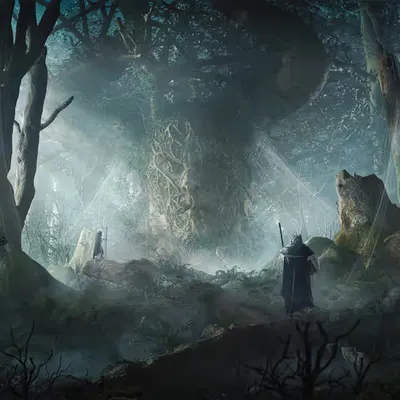 Roots 2