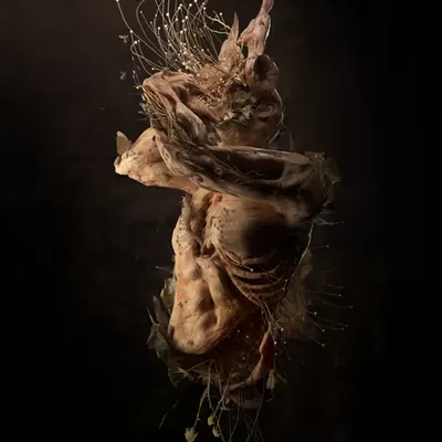 Bloom - Pollen