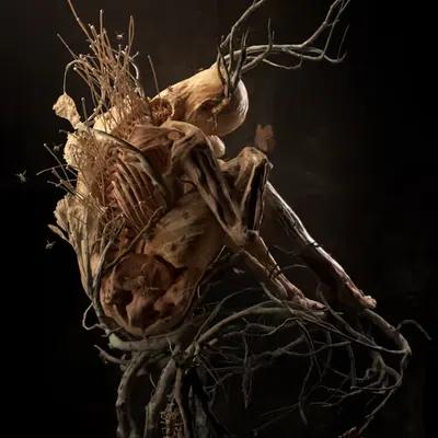 Bloom - Roots