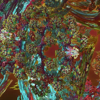 Ecosystem