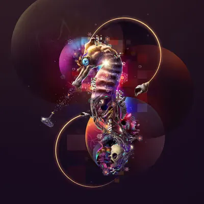 Quantum Seahorse