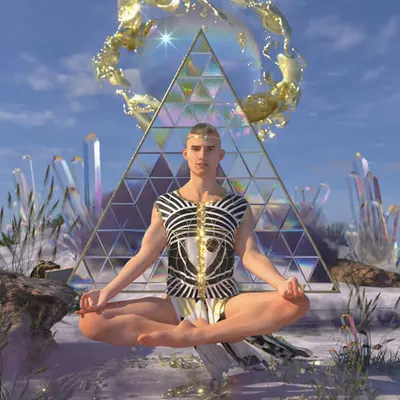 The Sage