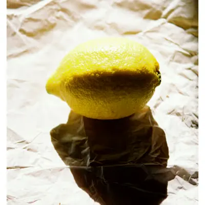 One Lemon - Still Life