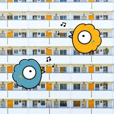 Songbirds in Osaka