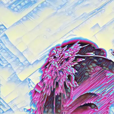 b o k e t t o