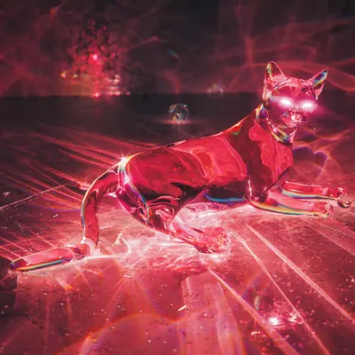 Blissful Caustic Portals to Luxurious Self-Annihilation 19