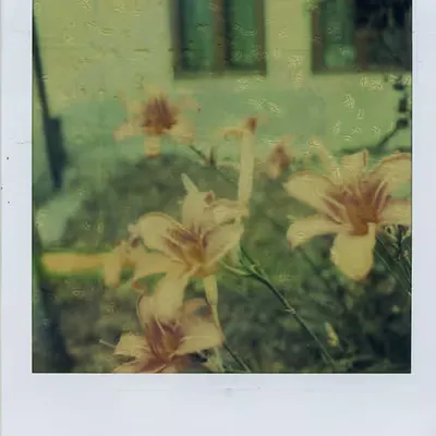 Flower Power