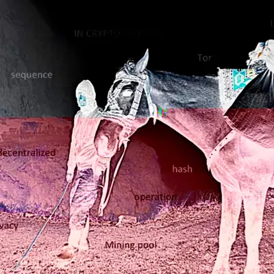 Tusheti boy Neo glitch